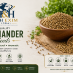 Coriander Seeds Export from India: Premium Quality Indian Coriander for Global Buyers
